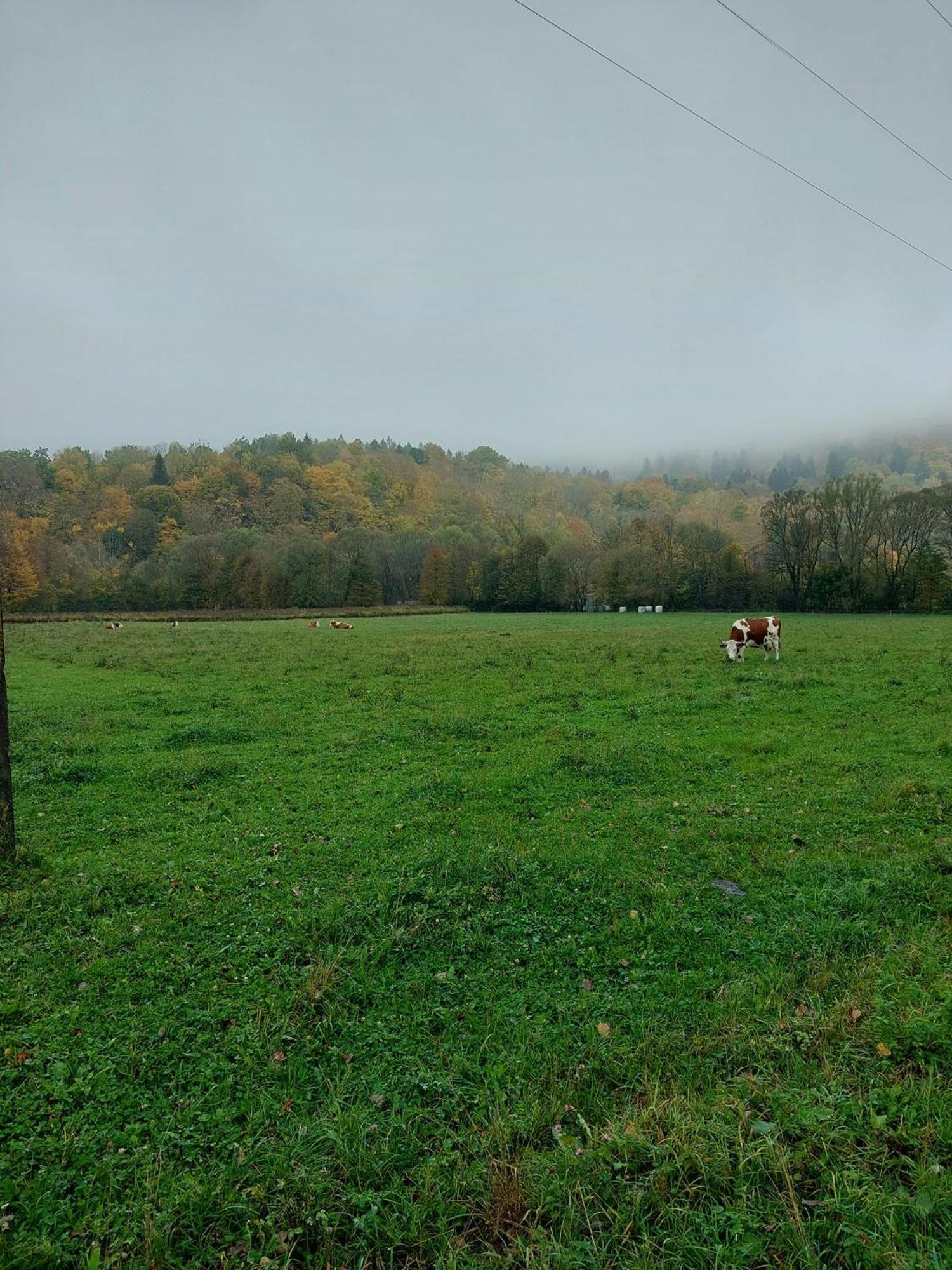 Chata Pod Wyciagiem Wańkowa Buitenkant foto