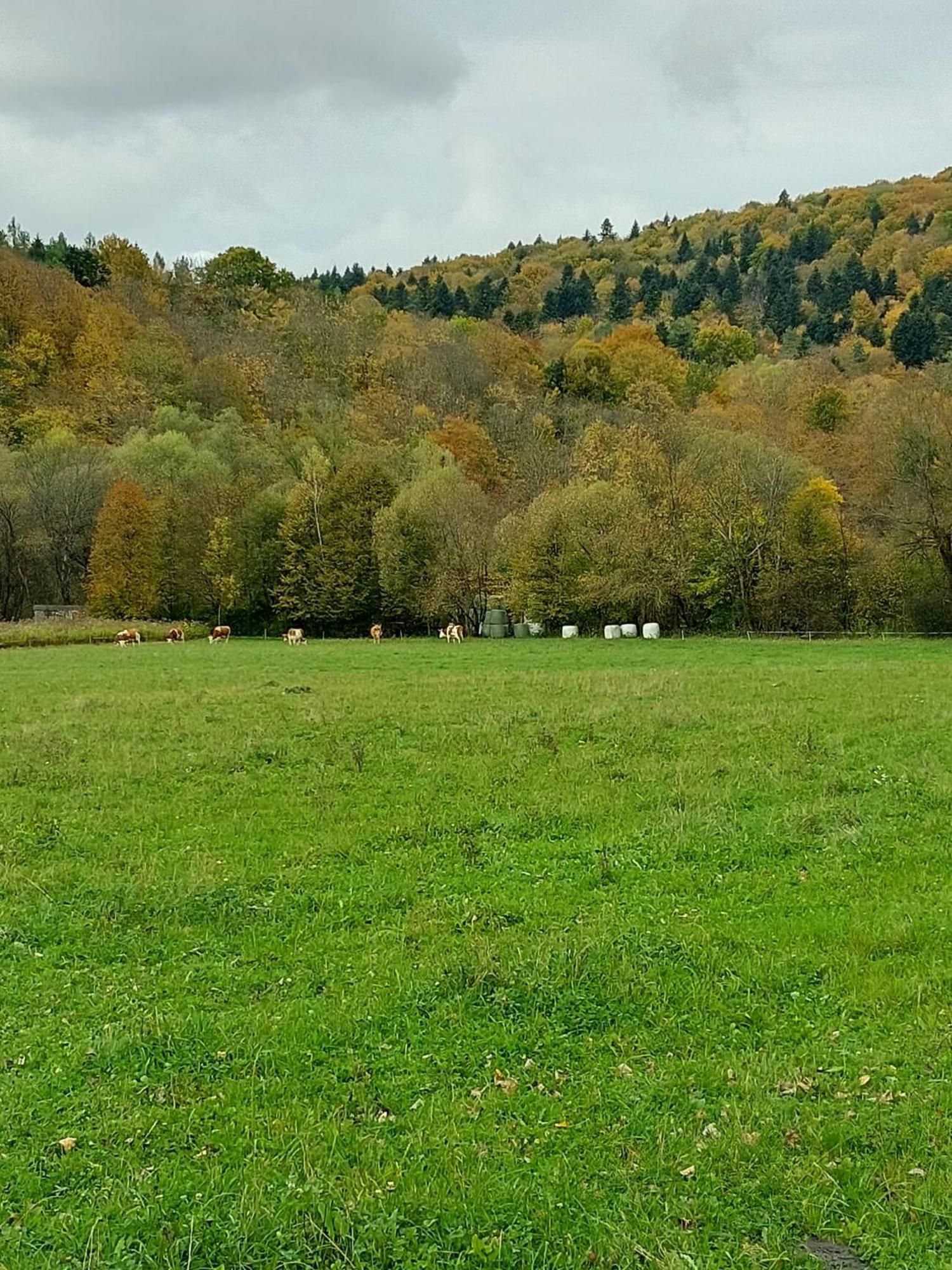 Chata Pod Wyciagiem Wańkowa Buitenkant foto